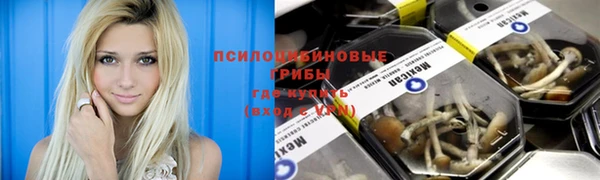 spice Новокубанск