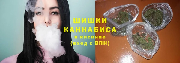 СК Новодвинск