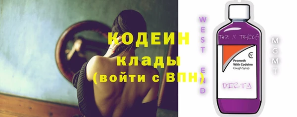 СК Новодвинск