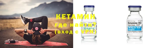 СК Новодвинск