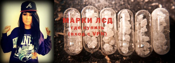 СК Новодвинск