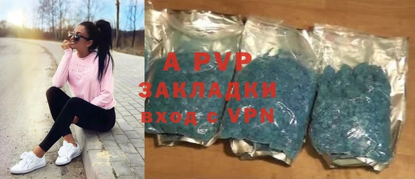 СК Новодвинск