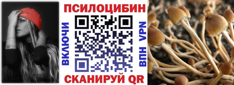 Галлюциногенные грибы GOLDEN TEACHER Купить где Шагонар